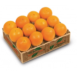 Navel Oranges, Gourmet Citrus-Al's Family Farms